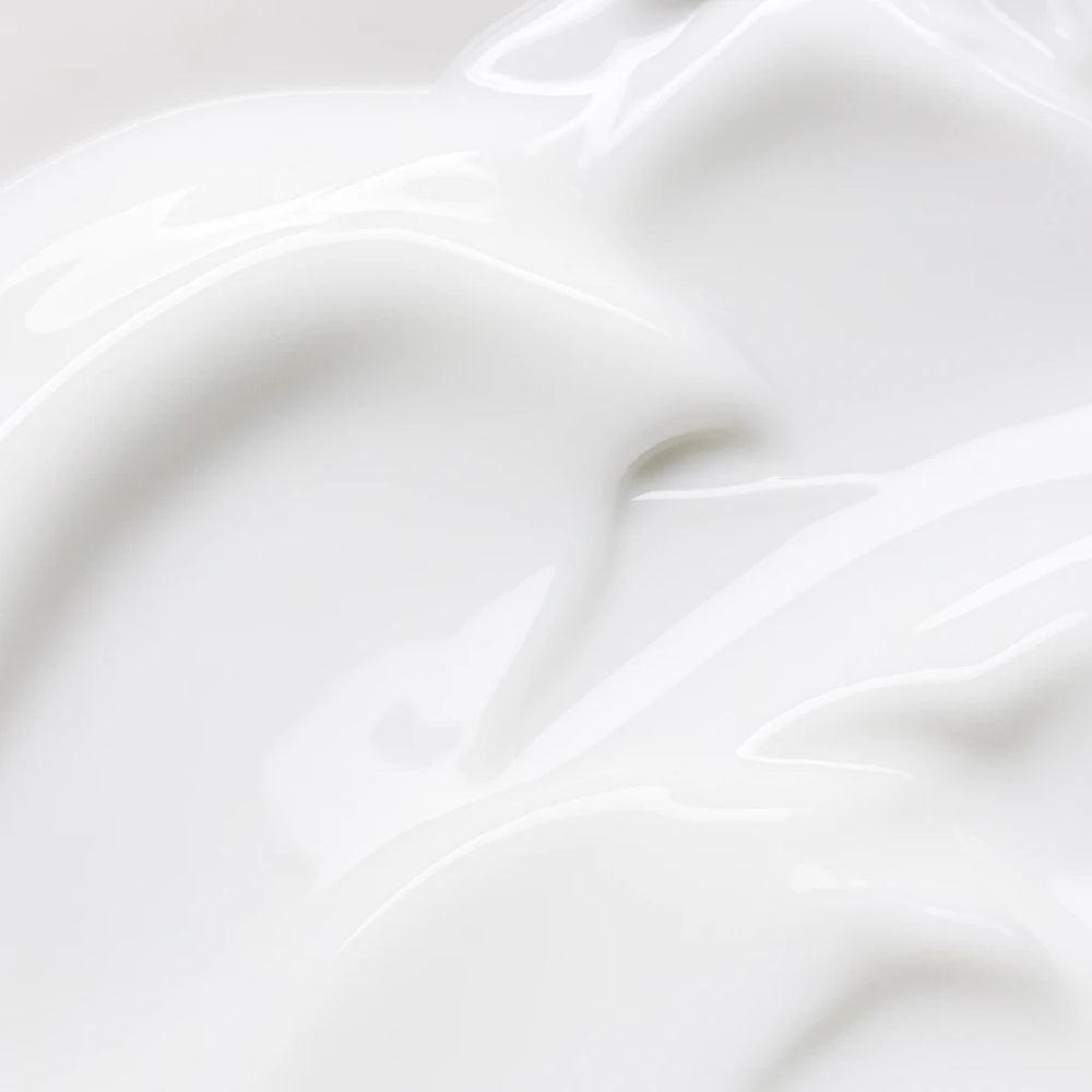 Made in Japan with Intention